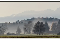 Wendelstein, vom Aßlinger Moos aus gesehen