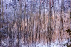 Johannes_Schmieg_Spiegelweiher_0052