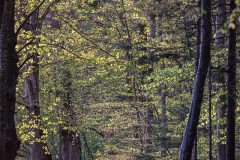 Johannes_Schmieg_Spiegelweiher_0110