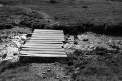 08_Steg_sw