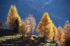 Herbstfarben