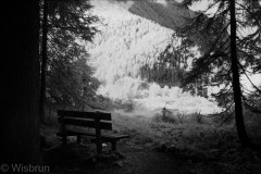 Bank am Spitzingsee (Aviphot Pan20; Infrarotaufnahme)