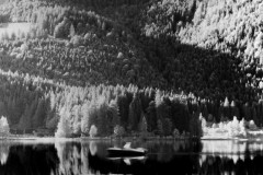 Angler auf dem Spitzingsee (Aviphot Pan20; Infrarotaufnahme)