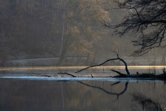 Sonnenaufgang am Langweiher
