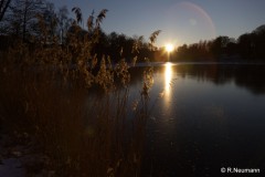 Reinhard_Neumann_Klostersee