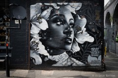 Streetart Birmingham - Artist Philth
