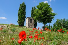 Frühling am südlichen Gardasee
