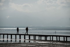 LO8_3063