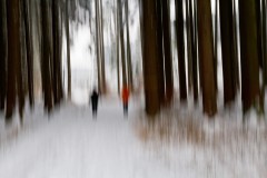 Ulrike-Hohnheiser__2163