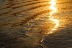 Ulrike-Hohnheiser__2793