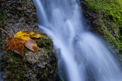 Ulrike-Hohnheiser__2832
