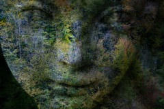 Ulrike_Hohnheiser__4237