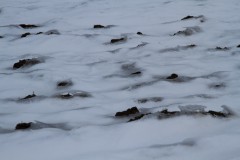 Ulrike_Hohnheiser__6192