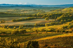 Reiner_Hulla_Tiefe_A7C00857