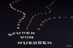 Doris Dietze - (kein) Warnhinweis