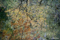 Harald Mayerthaler- Impressionismus