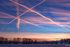 Theresia Lohmeyer - Flugzeugspuren