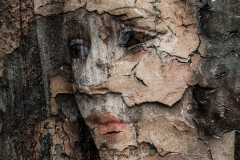 Ulrike Hohnheiser - Vergängliche Schönheit