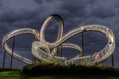 Lichtspiel Tiger & Turtle
