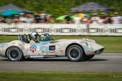 Motorsport