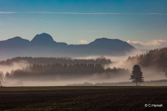 Carsten_Heinelt_Morgennebel