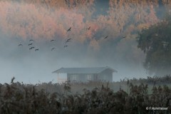 Franz_Hohnheiser_Am_Egglburger_See