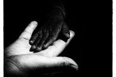 1. Schwarz Weiss Gross Klein 2. Hand in Hand