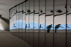 Dr__Jurgen_Bochynek_Spiegelkabinett_2743