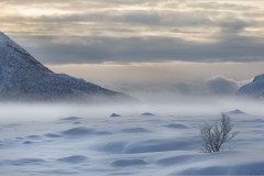 Natascha_Bluem_Winternebel_282Platy29