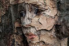 Ulrike_Hohnheiser_Abgeblaetterte_Schoenheit
