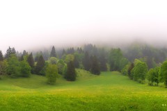 Franz_Vielhuber_Regenwetter