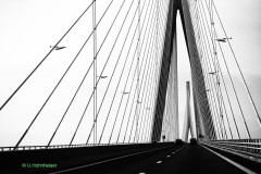 Ulrike_Hohnheiser_Linienfuehrung