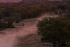 Ulrike_Hohnheiser_Offroad