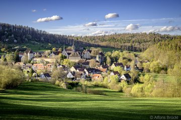 Alfons_Brueckl_20250415_Z6_Bebenhausen_9533a