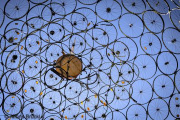 Alfons_Brueckl_20260322_Z6_Muenchen_3616