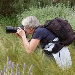 Annelies Grasenack *DSGVO