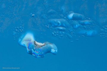 Annelies_Grasenack_Reflexionen_im_Eis_P4B6697