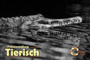 Titel 2019 Tierisch
