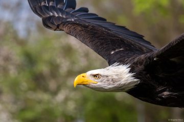 Brigitte_Merz__2026-04-26_16_15_28-Z1010179
