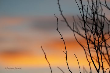 Burkhard_Pietzner_Morgenhimmel