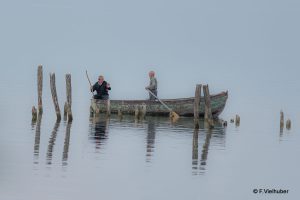 Wettbewerbserfolge 2019