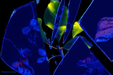 Johannes_Schmieg_Blick_nach_hinten_-_Blick_nach_vorn_81A0313-25S