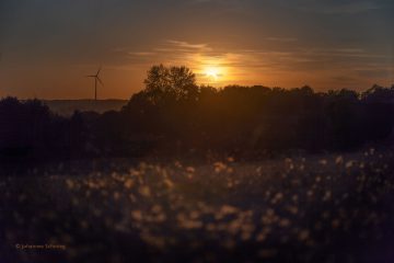 Johannes_Schmieg_Sonnenfinsternis_81A7305-DxO_DeepPRIME_XD3