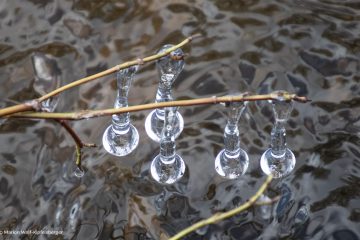 Marion_Wolf-Kipfelsberger_Eiszapfen-im-Bach_250113_MWK_0192