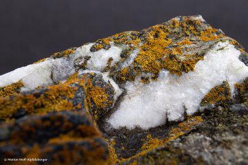 mit Adern aus weißem Quarz und gelb-orangener Krustenflechte