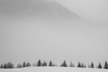 Marion_Wolf-Kipfelsberger_Nebeltag_260224_MWK_3729