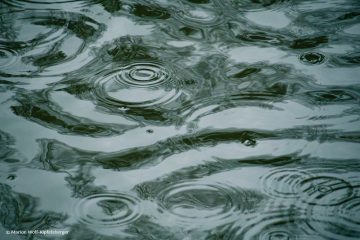 Marion_Wolf-Kipfelsberger_Regentag_251102_MWK_2753