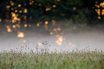 (400mm 1/400sec f2.8 ISO500)