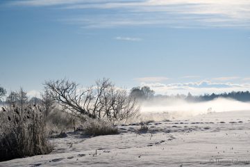 Theresia_Lohmeyer_Atteltal_DSC_9390