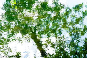 Ulrike_Hohnheiser_Gespiegelt